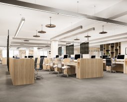 ¿Conoces los 4 tipos de layout de oficina más habituales?
