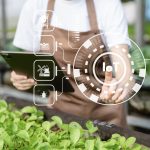 IoT en industria alimentaria