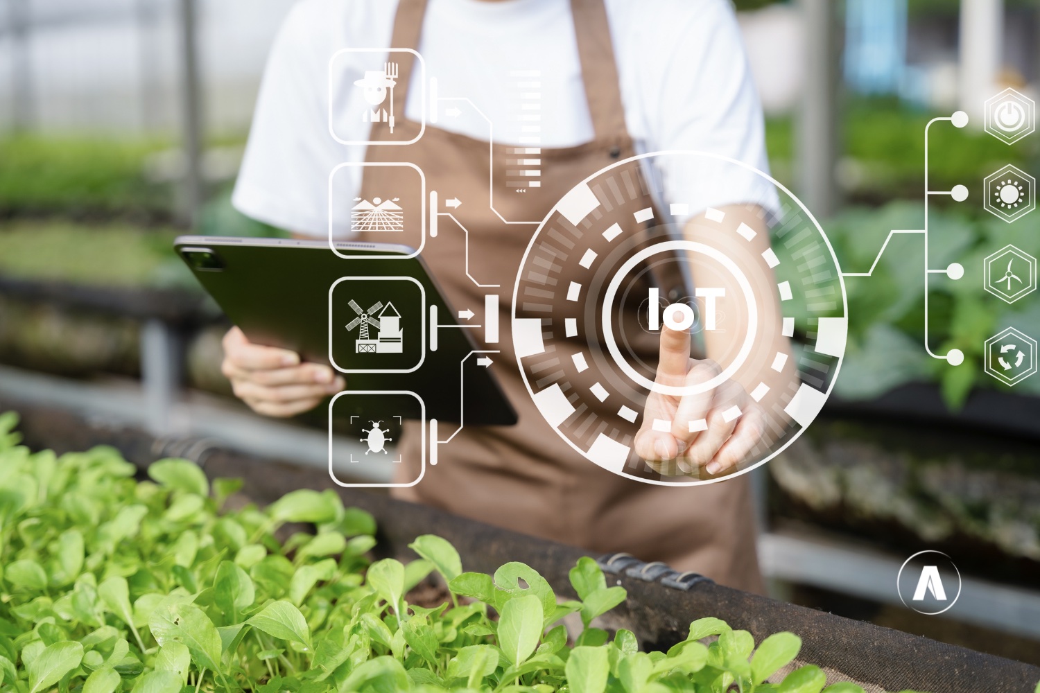 IoT en industria alimentaria